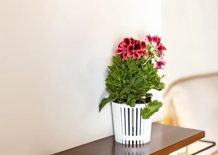 Canyamelar Appartement Valencia